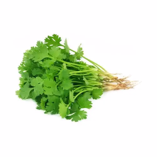 Coriander Sanitized 250g 